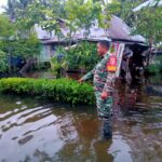 Babinsa Kodim 1002/HST Pantau Wilayah Terdampak Banjir Babinsa Kodim 1002/HST Pantau Wilayah Terdampak Banjir