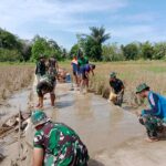 Progres 32 Persen, Sasaran Jalan TMMD ke-116 Kodim 1002/HST Terus Digenjot Progres 32 Persen, Sasaran Jalan TMMD ke-116 Kodim 1002/HST Terus Digenjot
