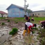 Babinsa Barabai Dampingi Petani Tanam Padi, Dukung Swasembada Pangan