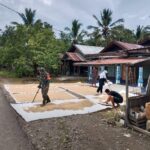 Babinsa Koramil 1002-08/Labuan Amas Utara Bantu Warga Jemur Padi, Dukung Ketahanan Pangan Nasional