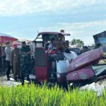 Dukung Ketahanan Pangan Nasional, Pangdam VI/Mulawarman Panen Raya dan Tanam Serentak di Kalimantan Selatan