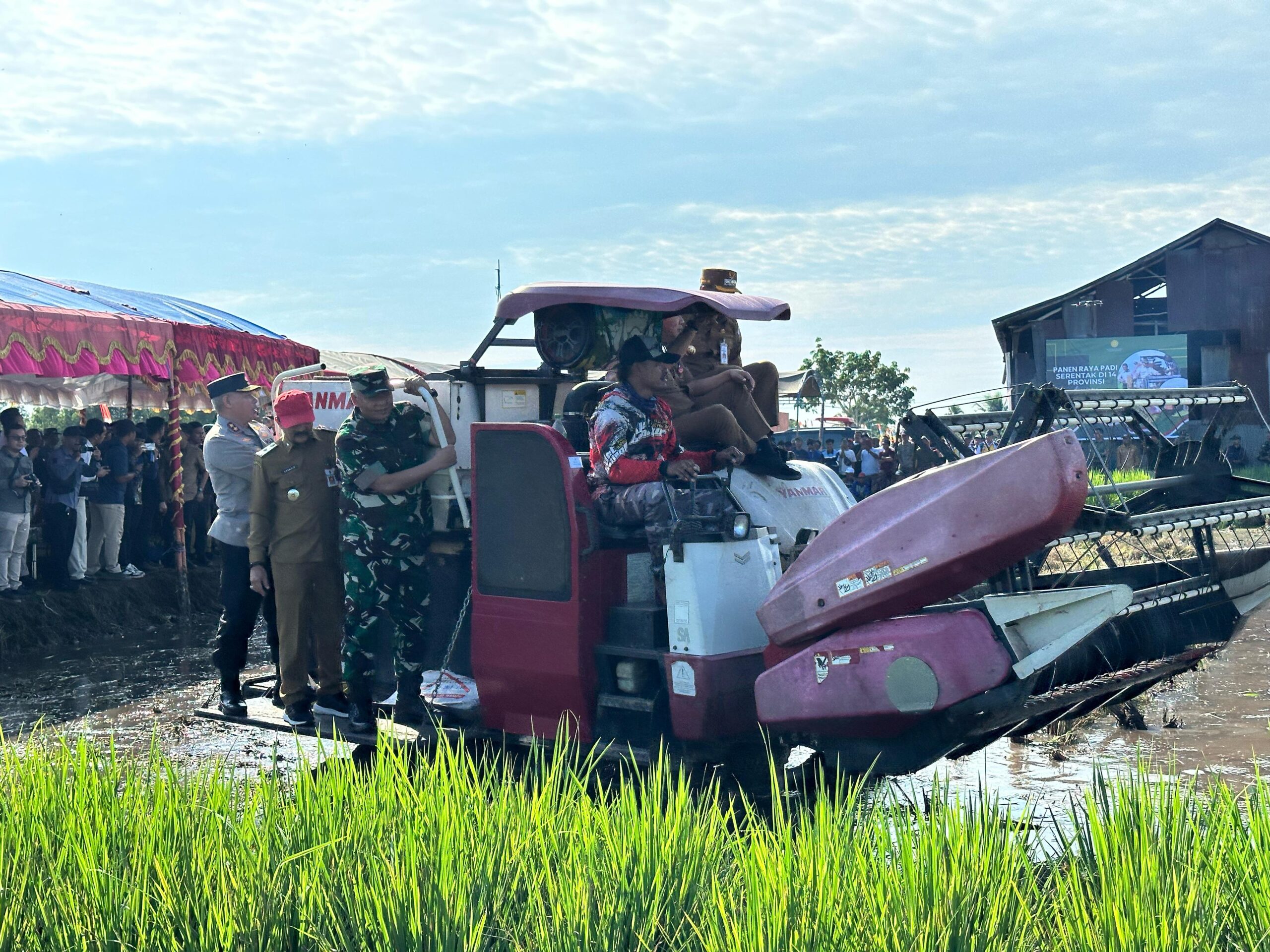 Dukung Ketahanan Pangan Nasional, Pangdam VI/Mulawarman Panen Raya dan Tanam Serentak di Kalimantan Selatan