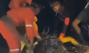 Buaya Raksasa Sungai Sangatta Ditangkap, Diduga Mangsa Bocah 10 Tahun
