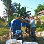 Ringankan Beban Petani, Babinsa Koramil 1002-08/LAU Dampingi Perontokan Padi di Hulu Sungai Tengah