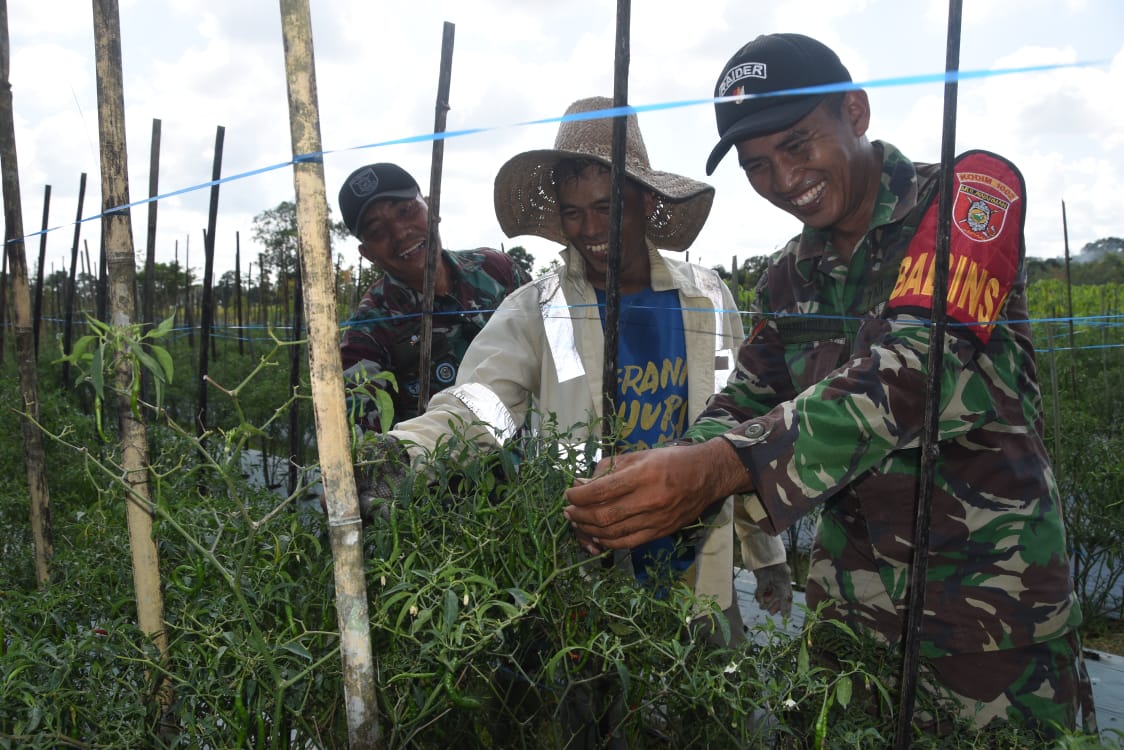 Selain Infrastruktur, TMMD Juga Sentuh Potensi Hortikultura di Hulu Sungai Tengah