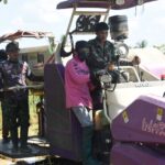 Manfaatkan Teknologi Pertanian, Satgas TMMD Bantu Panen Padi dengan Combine Harvester Manfaatkan Teknologi Pertanian, Satgas TMMD Bantu Panen Padi dengan Combine Harvester