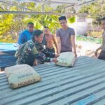 Kejar Target, Material Semen Didatangkan untuk Pengecoran Lantai Halaman Langgar Darussalam oleh Satgas TMMD ke-124 Kodim 1002/HST Kejar Target, Material Semen Didatangkan untuk Pengecoran Lantai Halaman Langgar Darussalam oleh Satgas TMMD ke-124 Kodim 1002/HST