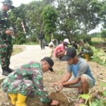 Hijaukan Bumi, Satgas TMMD ke-124 Kodim 1002/HST Gencarkan Penanaman Pohon di Haruyan