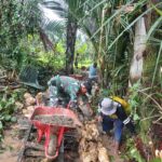 Perlancar Akses Jalan, Babinsa Barabai Bangun Jalan Usaha Tani di Kayu Bawang