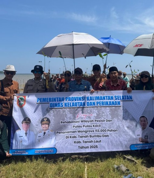 Perkuat Ketahanan Lingkungan, Pemprov Kalsel Rehabilitasi Hampir 8.000 Hektare Tanaman Mangrove