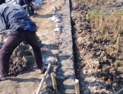 Ketua KPK TIPIKOR PAC Sukakarya, Kagum dan Apresiasi Kinerja Kades Sukaindah, Gerak Cepat Bangun JUT dan TPT Dusun III