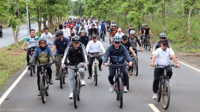 Gowes