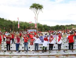 Peringati HUT Kalsel ke-75 dan RI ke-80, Dinas Pertanian Tanam 50 Ribu Bibit Cabai di Bukit Merangkul
