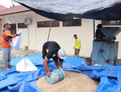 Dukung Ketahanan Pangan, UPB Lingkup Balai Benih TPH Jadi Andalan Kalsel Produksi Benih Padi Berkualitas