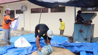 Dukung ketahanan pangan