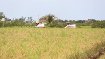 Kalsel raih peringkat pertama