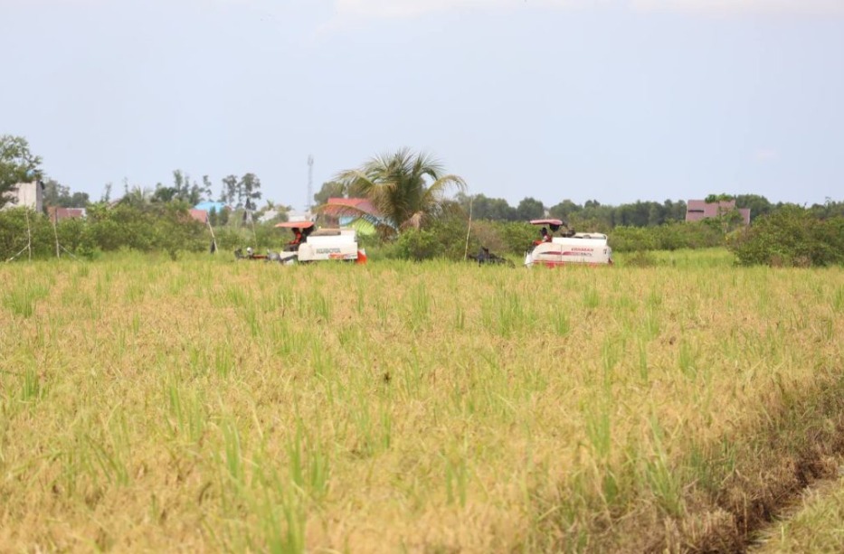 Kalsel raih peringkat pertama