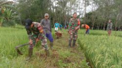Babinsa Sertu Edy Karyani Pimpin Kerja Bakti Pembersihan JUT Desa Sumanggi Seberang