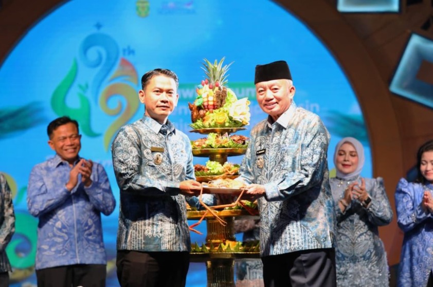 Gubernur Kalsel