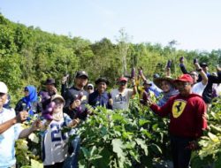 Panen Perdana Bukit Merangkul, DPKP Kalsel Semangat Perkuat Ketahanan Pangan