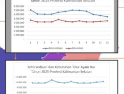Kalsel Surplus Daging dan Telur Ayam Ras, Bukti Kolaborasi Pemerintah Daerah dan Peternak