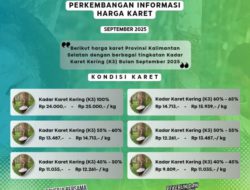 Harga Karet dan Sawit Menguat, Kesejahteraan Petani Banua Terus Membaik