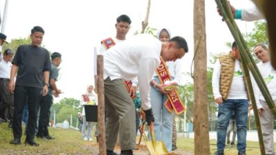 Penanaman pohon