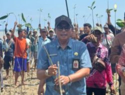 DKP Kalsel : Metode Hybrid Engineering Perkuat Ketahanan Pesisir