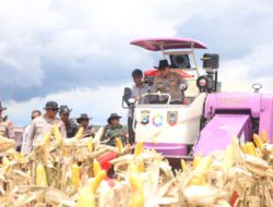 Dukung Swasembada Pangan, Kapolda Kalsel Pimpin Panen Raya Jagung Serentak Tahun 2025