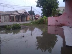 Akibat Meluapnya Sungai Srengseng Hilir, Desa Sukaindah Terendam Banjir 