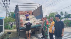 Babinsa Kodim 1002/HST