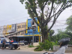 Membangun Desa Menata Kota, BPBD Labuhanbatu Pangkas Pohon Demi Keindahan