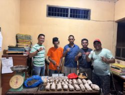 Unit Reskrim Polsek Bilah Hilir Amankan Seorang Pria Pengedar Ganja 1,2 Kg 