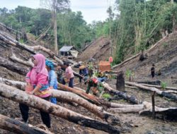 Bantu Petani, Babinsa Koramil BAS Bantu Masyarakat Menugal