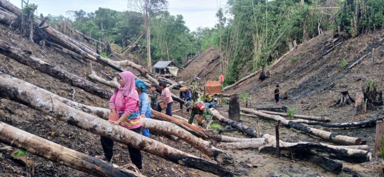 Bantu Petani Menugal