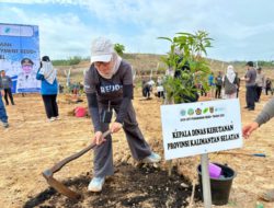 Kick Off Program REDD+, Dishut Kalsel Tanami Lahan Tidur di Cempaka