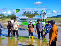 DPKP Kalsel Fokus Kuatkan Pangan Lewat Tujuh Program Prioritas 2026