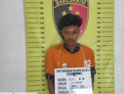 Berawal dari Informasi Warga, Polsek NA IX-X Tangkap Pelaku Penyalahgunaan Sabu