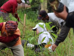 Komitmen Provinsi Hijau, Dishut Kalsel Tanam 300 Pohon Bintaro