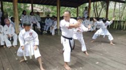 Karateka