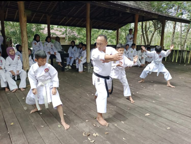 Karateka