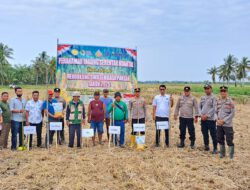 Polsek Panai Hilir Polres LabuhanbatuPimpin Penanaman Jagung Serentak Kuartal I Dukung Swasembada Pangan 2026