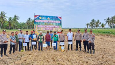 Polsek Panai Hilir Polres LabuhanbatuPimpin Penanaman Jagung Serentak Kuartal I Dukung Swasembada Pangan 2026