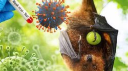 Virus Nipah