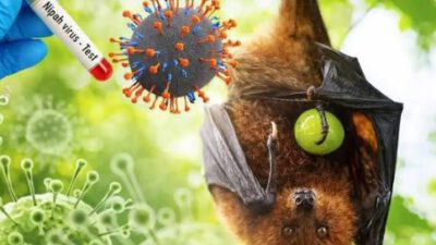 Kasus Virus Nipah, Pemprov Kalsel Perkuat Kesiapsiagaan Sistem Kesehatan