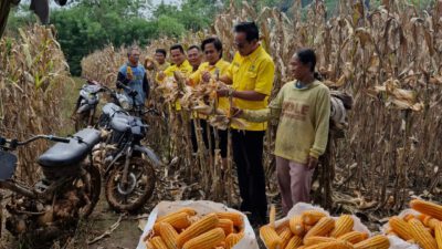 Ketua DPD Partai Golkar Way Kanan