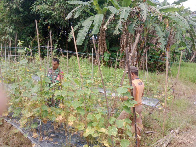 Sinergi TNI dan Warga