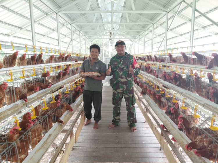 Babinsa Pandawan Bantu Pengelolaan Ternak Ayam