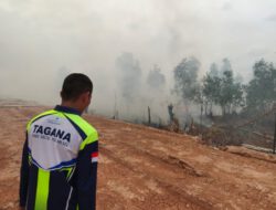 Masuk Musim Kemarau, Dinsos Kalsel Perkuat Kesiapsiagaan Karhutla