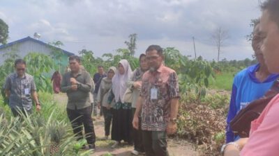 Direktur Hilirisasi Hortikultura Kementan RI Monitoring Bantuan dan Capaian LTT Padi di Batola